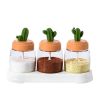 Kitchen Season Tank Seasoning Bottle Combination Set